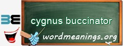 WordMeaning blackboard for cygnus buccinator